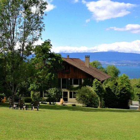 Domaine De L'Olifant Panzió Champanges Kültér fotó