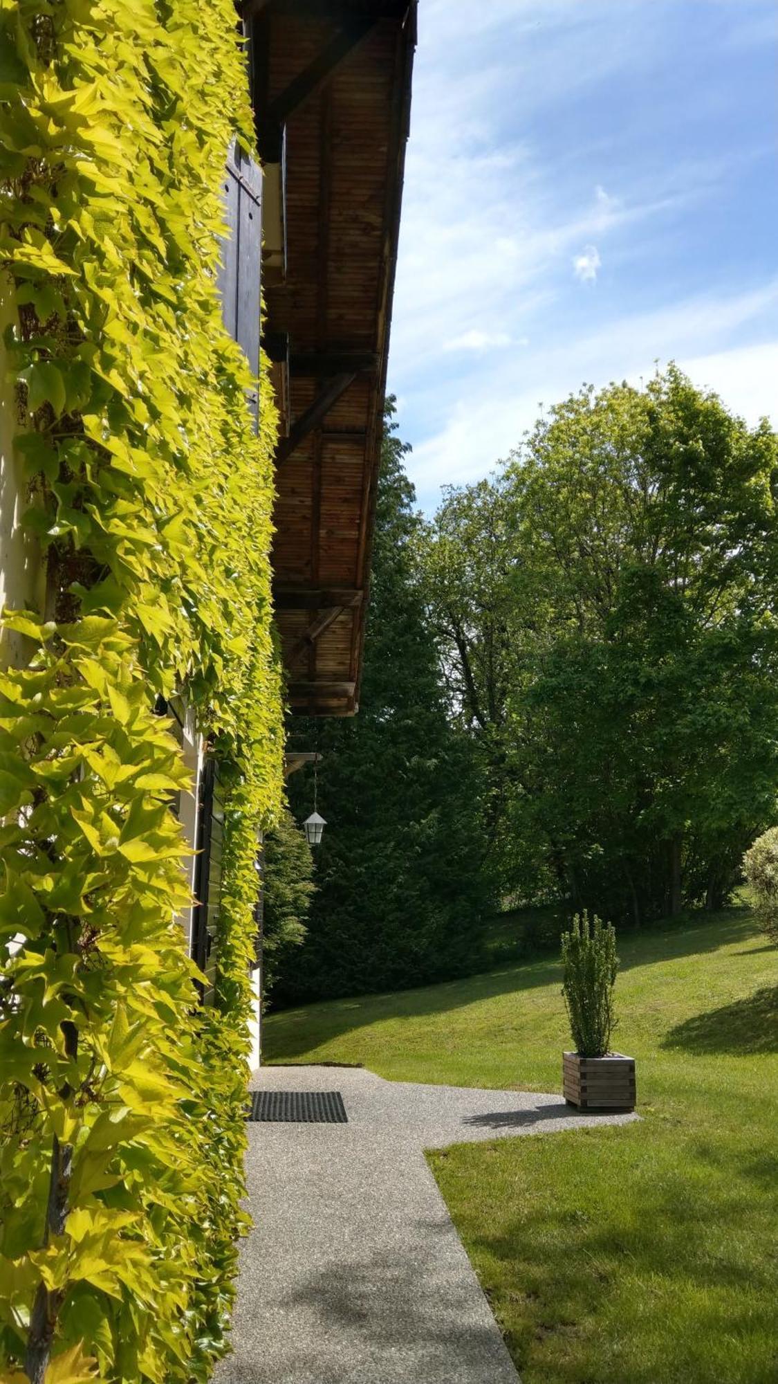 Domaine De L'Olifant Panzió Champanges Kültér fotó