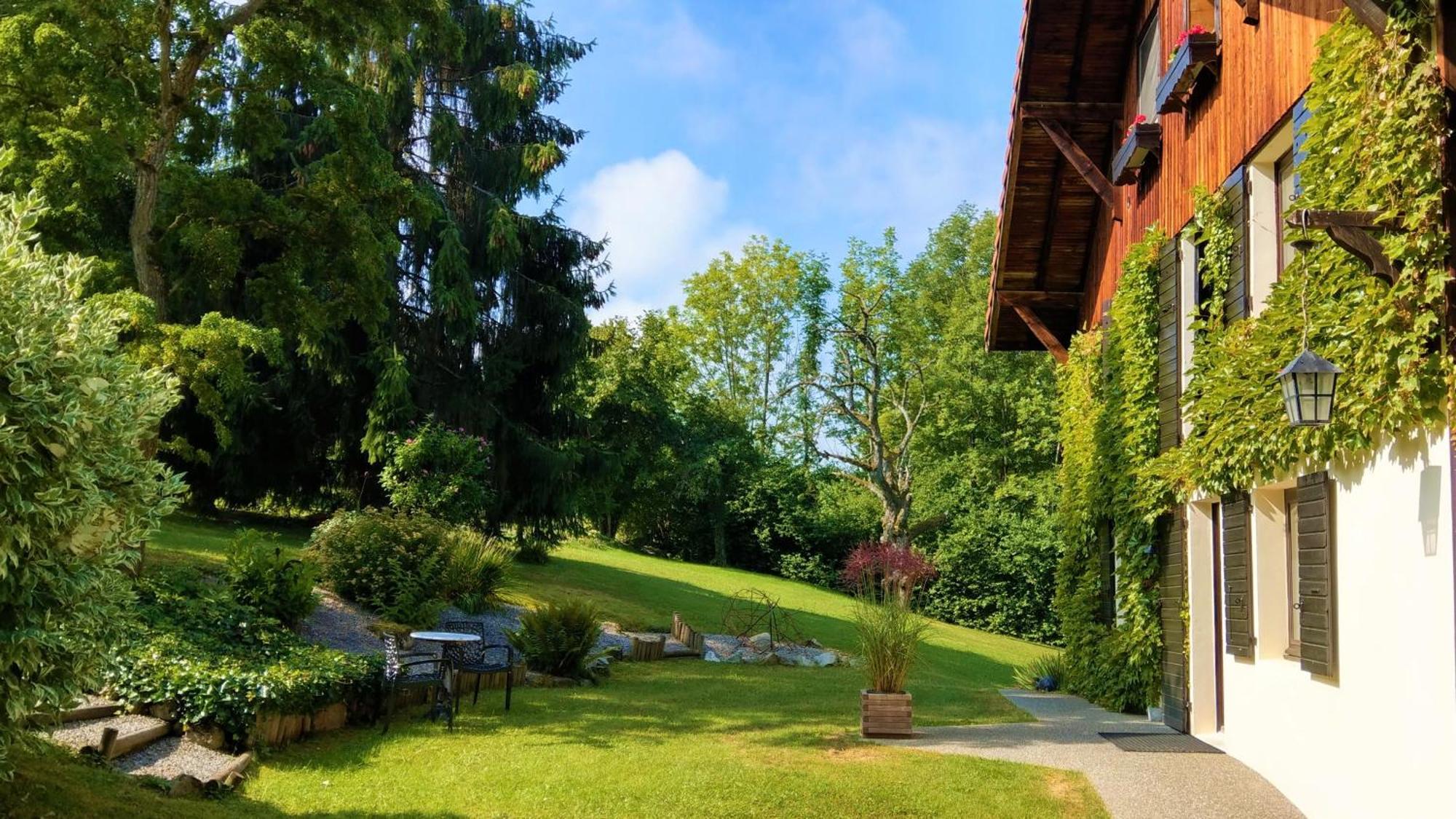 Domaine De L'Olifant Panzió Champanges Kültér fotó