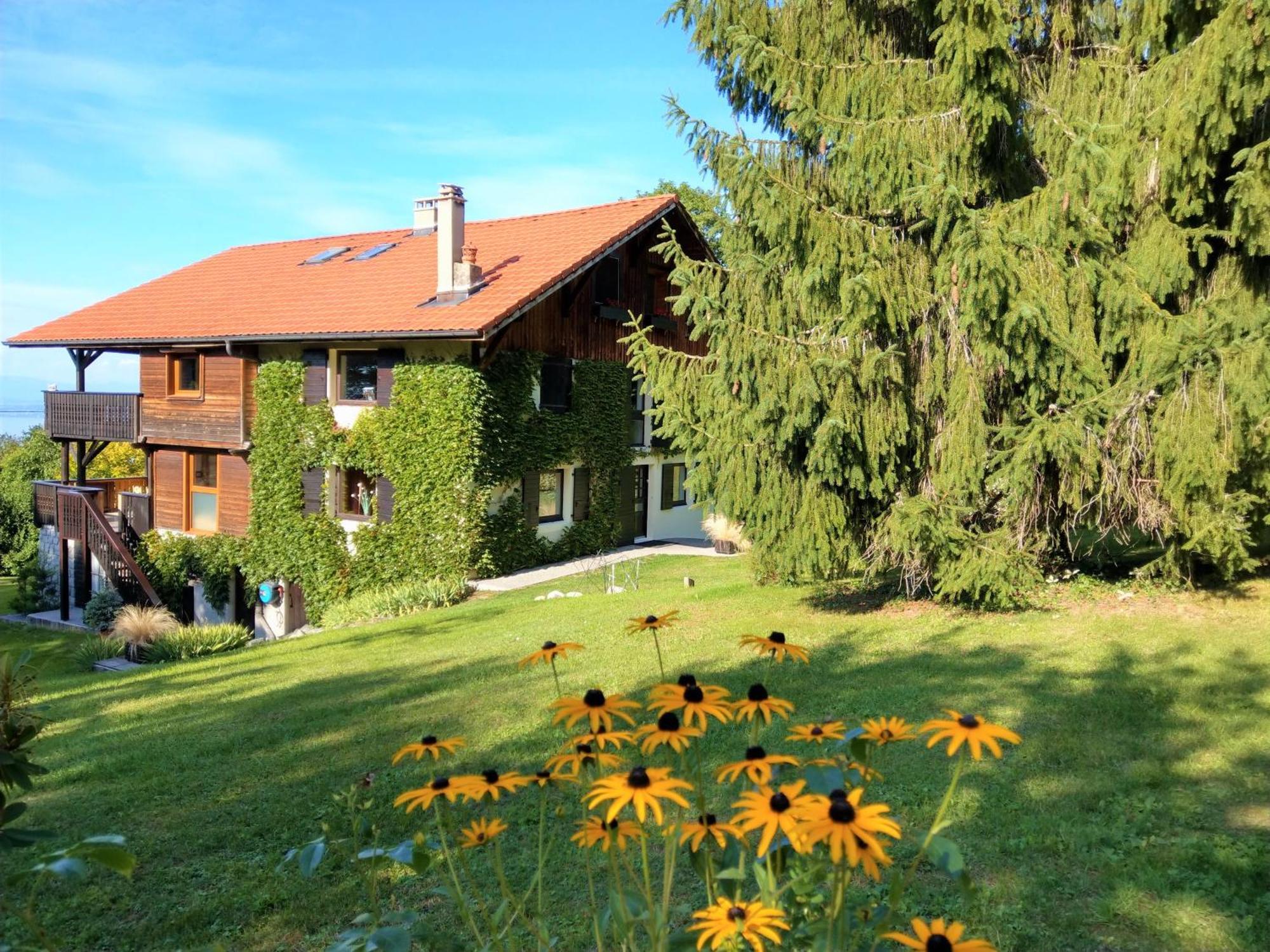 Domaine De L'Olifant Panzió Champanges Kültér fotó